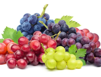 Саджанці із втраченою назвою