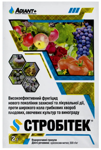 Стробітек 2 г Фунгіцид
